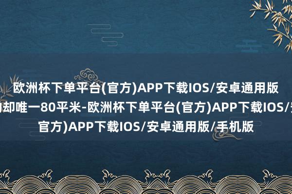 欧洲杯下单平台(官方)APP下载IOS/安卓通用版/手机版实质能用的却唯一80平米-欧洲杯下单平台(官方)APP下载IOS/安卓通用版/手机版