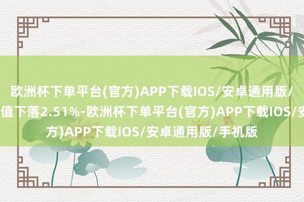 欧洲杯下单平台(官方)APP下载IOS/安卓通用版/手机版近一个月净值下落2.51%-欧洲杯下单平台(官方)APP下载IOS/安卓通用版/手机版