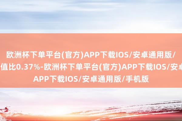 欧洲杯下单平台(官方)APP下载IOS/安卓通用版/手机版现款占净值比0.37%-欧洲杯下单平台(官方)APP下载IOS/安卓通用版/手机版