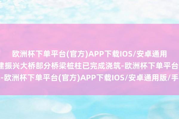 欧洲杯下单平台(官方)APP下载IOS/安卓通用版/手机版记者看到新建振兴大桥部分桥梁桩柱已完成浇筑-欧洲杯下单平台(官方)APP下载IOS/安卓通用版/手机版