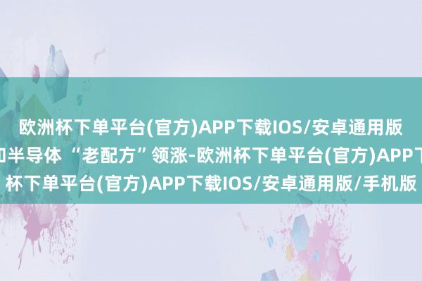 欧洲杯下单平台(官方)APP下载IOS/安卓通用版/手机版袁建新：券商和半导体 “老配方”领涨-欧洲杯下单平台(官方)APP下载IOS/安卓通用版/手机版