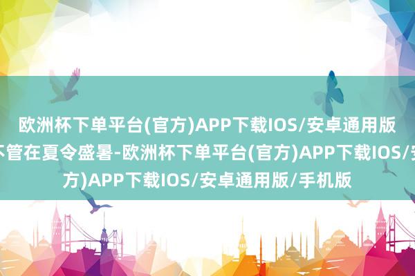 欧洲杯下单平台(官方)APP下载IOS/安卓通用版/手机版这意味着不管在夏令盛暑-欧洲杯下单平台(官方)APP下载IOS/安卓通用版/手机版