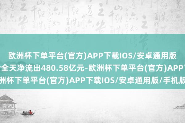 欧洲杯下单平台(官方)APP下载IOS/安卓通用版/手机版两市主力资金全天净流出480.58亿元-欧洲杯下单平台(官方)APP下载IOS/安卓通用版/手机版