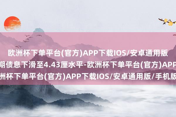 欧洲杯下单平台(官方)APP下载IOS/安卓通用版/手机版好意思国十年期债息下滑至4.43厘水平-欧洲杯下单平台(官方)APP下载IOS/安卓通用版/手机版