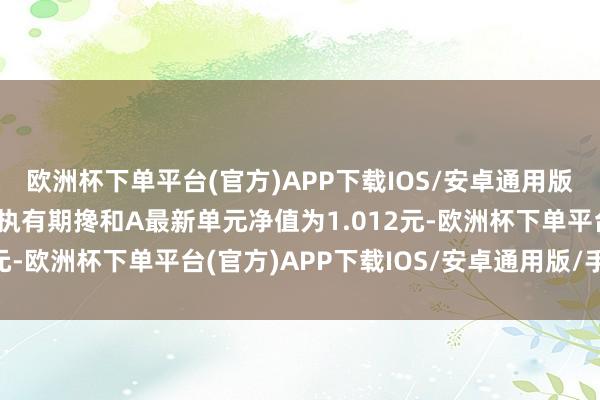 欧洲杯下单平台(官方)APP下载IOS/安卓通用版/手机版泉果想源三年执有期搀和A最新单元净值为1.012元-欧洲杯下单平台(官方)APP下载IOS/安卓通用版/手机版