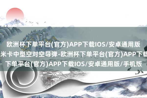 欧洲杯下单平台(官方)APP下载IOS/安卓通用版/手机版幻影2000使用米卡中型空对空导弹-欧洲杯下单平台(官方)APP下载IOS/安卓通用版/手机版