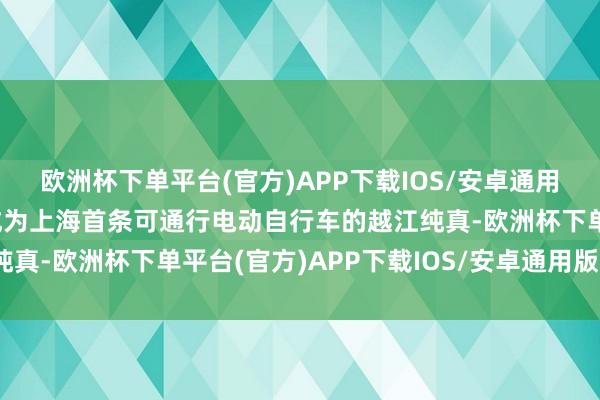 欧洲杯下单平台(官方)APP下载IOS/安卓通用版/手机版这条纯真也成为上海首条可通行电动自行车的越江纯真-欧洲杯下单平台(官方)APP下载IOS/安卓通用版/手机版