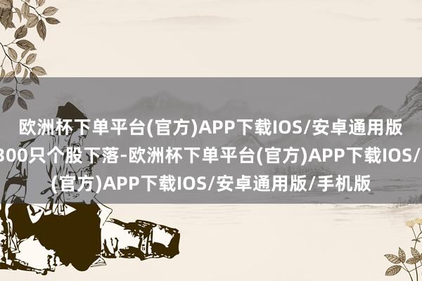 欧洲杯下单平台(官方)APP下载IOS/安卓通用版/手机版全阛阓超4300只个股下落-欧洲杯下单平台(官方)APP下载IOS/安卓通用版/手机版