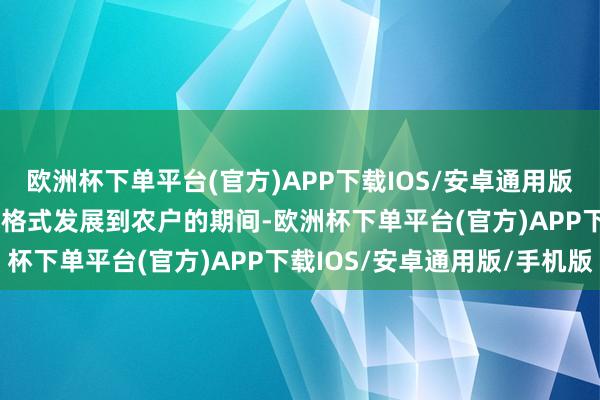 欧洲杯下单平台(官方)APP下载IOS/安卓通用版/手机版蓝莓的“622”格式发展到农户的期间-欧洲杯下单平台(官方)APP下载IOS/安卓通用版/手机版