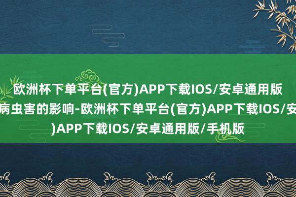欧洲杯下单平台(官方)APP下载IOS/安卓通用版/手机版受天气和病虫害的影响-欧洲杯下单平台(官方)APP下载IOS/安卓通用版/手机版