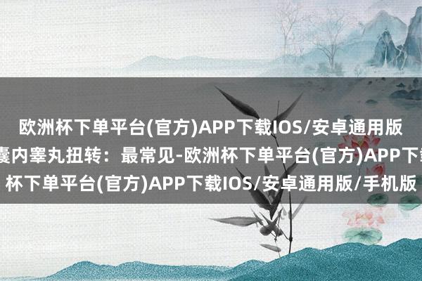 欧洲杯下单平台(官方)APP下载IOS/安卓通用版/手机版分型 1. 鞘膜囊内睾丸扭转：最常见-欧洲杯下单平台(官方)APP下载IOS/安卓通用版/手机版